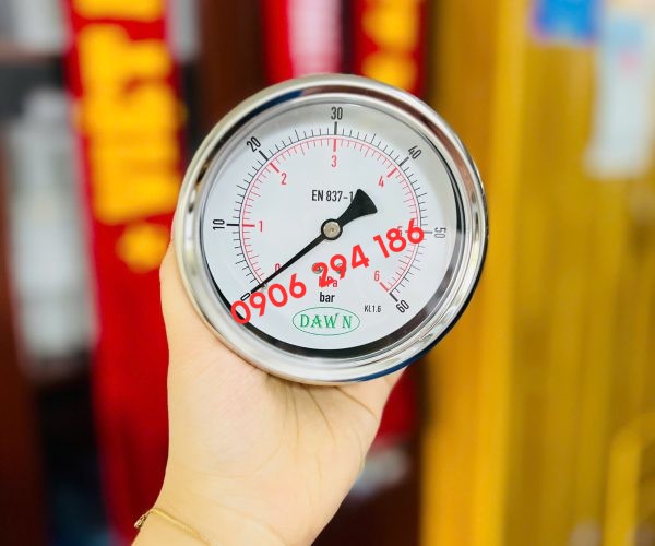 ĐỒNG HỒ ÁP SUẤT CHÂN SAU P254 100B 60BAR