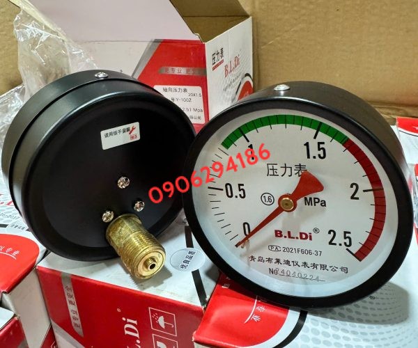 ĐỒNG HỒ ÁP SUẤT CHÂN SAU TRUNG QUỐC MẶT 100MM DẢI 25BAR