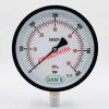 ĐỒNG HỒ ÁP SUẤT DAWN P110 150A 0-600BAR REN M20X1.5