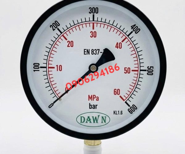 ĐỒNG HỒ ÁP SUẤT DAWN P110 150A 0-600BAR REN M20X1.5