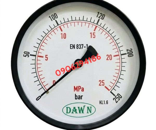 ĐỒNG HỒ ÁP SUẤT DAWN P110 150A 0-250BAR REN M20X1.5