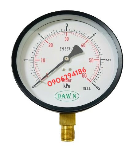 ĐỒNG HỒ ÁP SUẤT DAWN CHÂN ĐỨNG P110 150A 0-6KPA REN M20X1.5