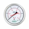 ĐỒNG HỒ ÁP SUẤT MÀNG DAWN P752S 100B 10BAR SS316